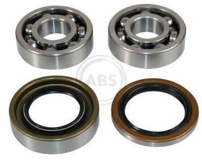Wheel Bearing Kit A.B.S. 200070