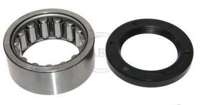Wheel Bearing Kit A.B.S. 201087