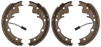 Brake Shoe Set A.B.S. 8931