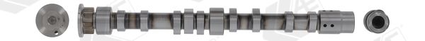 AE CAM1006 Camshaft