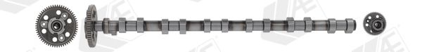 AE CAM1016 Camshaft