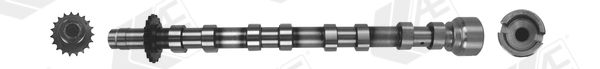 AE CAM1019 Camshaft