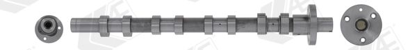 AE CAM1025 Camshaft