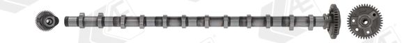 AE CAM1028 Camshaft
