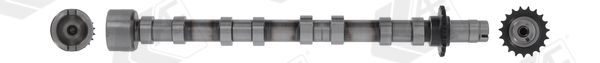 AE CAM1031 Camshaft
