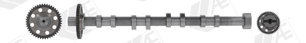 AE CAM1040 Camshaft