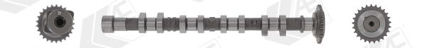 AE CAM1042 Camshaft