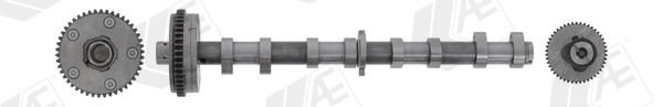 AE CAM1045 Camshaft