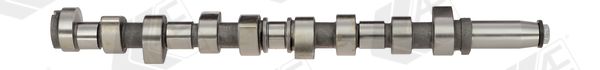 AE CAM376 Camshaft