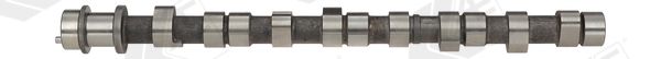 AE CAM390 Camshaft