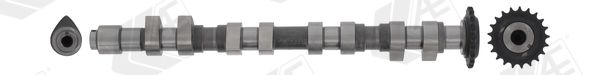 AE CAM744 Camshaft