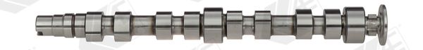 AE CAM925 Camshaft