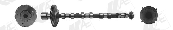 AE CAM973 Camshaft