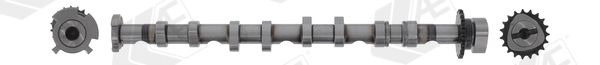 AE CAM981 Camshaft