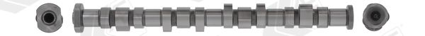 AE CAM996 Camshaft