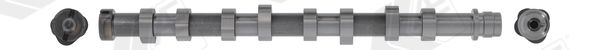 AE CAM999 Camshaft