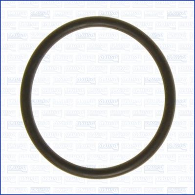 AJUSA 16072700 Seal, thermostat