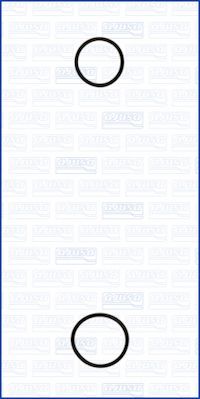 AJUSA 77001900 Gasket Set, water pump
