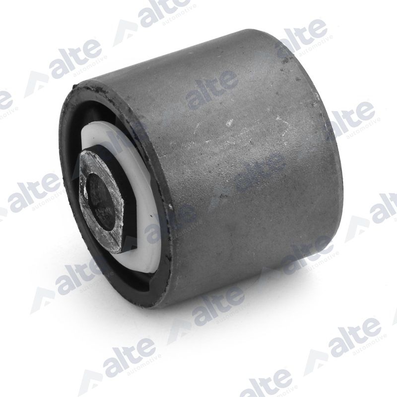ALTE AUTOMOTIVE 81029AL Mounting, control/trailing arm