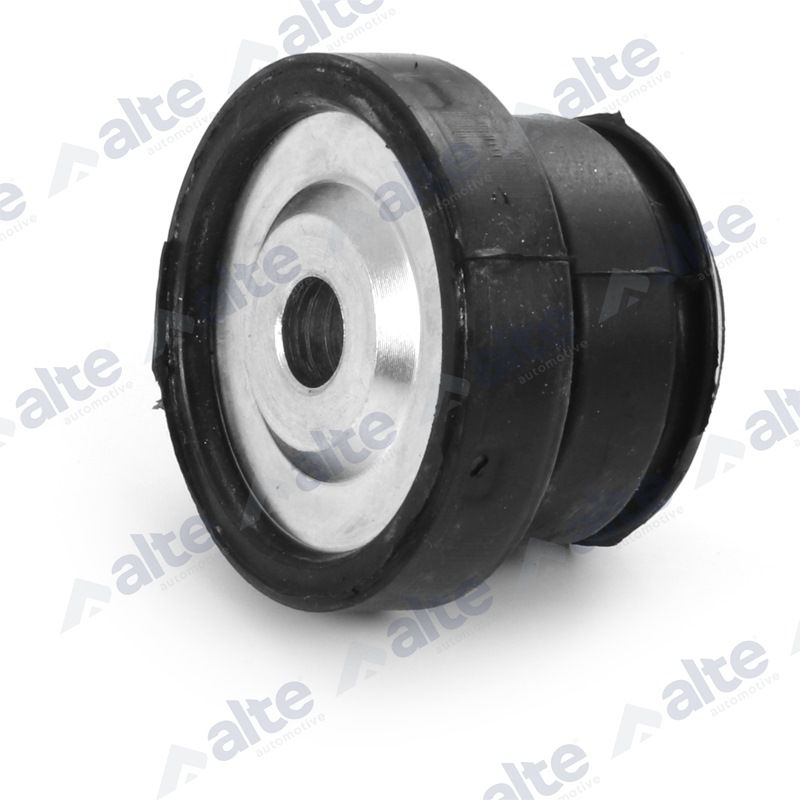 ALTE AUTOMOTIVE 82808AL Mounting, control/trailing arm