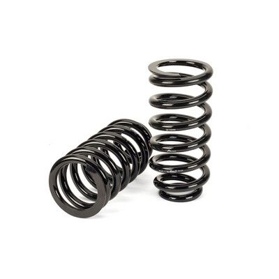 Suspension Set, springs Arnott C-3080