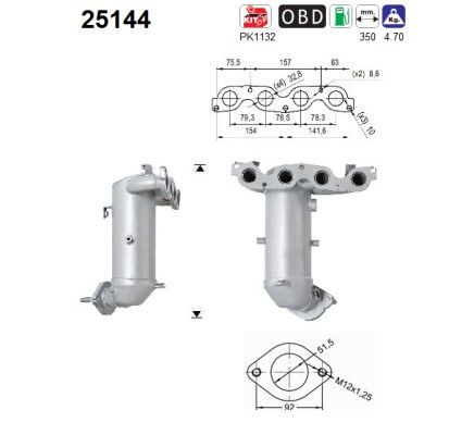 AS 25144 Catalytic Converter