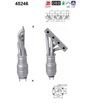 Catalytic Converter AS 45246
