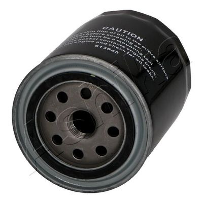 Oil Filter ASHIKA 10-02-204