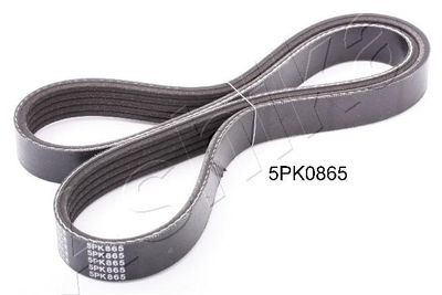 V-Ribbed Belt ASHIKA 112-5PK865