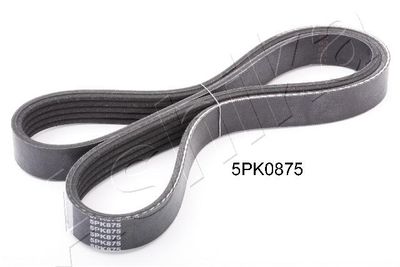 V-Ribbed Belt ASHIKA 112-5PK875