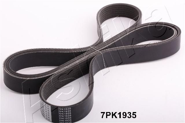 ASHIKA 112-7PK1935 V-Ribbed Belt