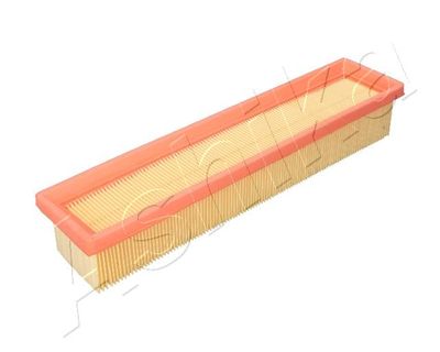 Air Filter ASHIKA 20-01-117