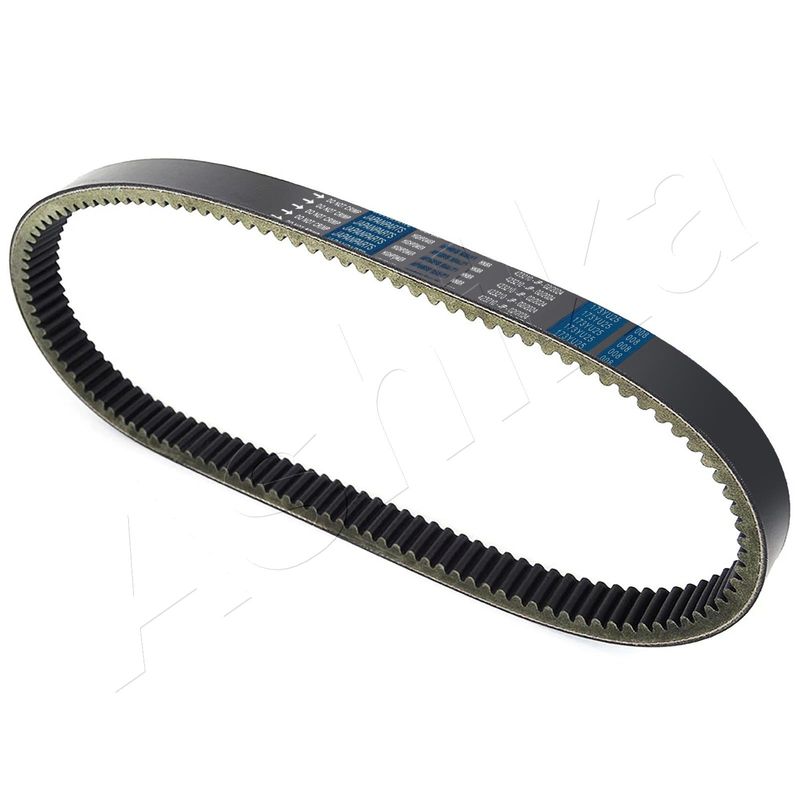ASHIKA 40-05-589 Timing Belt