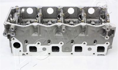 Cylinder Head ASHIKA NS012S