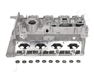 Cylinder Head ASHIKA VW19ES