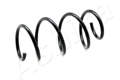 Suspension Spring ASHIKA ZCA1089A
