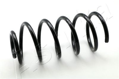 Suspension Spring ASHIKA ZCA1232C