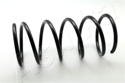 Suspension Spring ASHIKA ZCA1331A