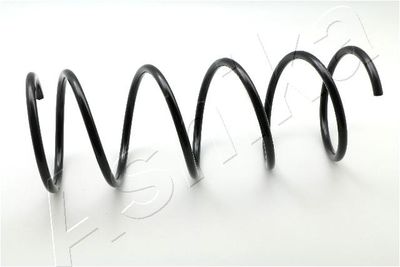 Suspension Spring ASHIKA ZCA1546A