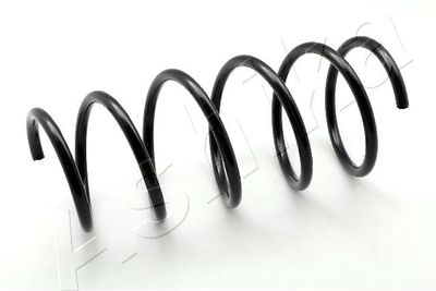 Suspension Spring ASHIKA ZCA1574G