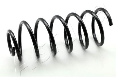Suspension Spring ASHIKA ZCA1646G