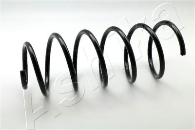 Suspension Spring ASHIKA ZCA2887C