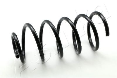 Suspension Spring ASHIKA ZCA2998C