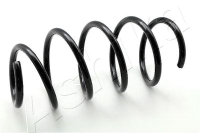 Suspension Spring ASHIKA ZCA3285H
