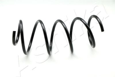 Suspension Spring ASHIKA ZCA3488H