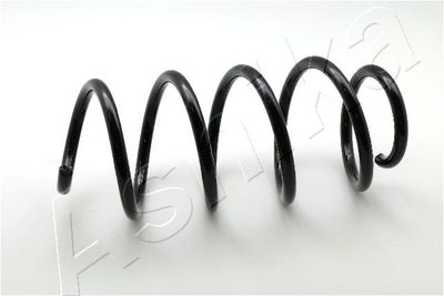 Suspension Spring ASHIKA ZCA3509H