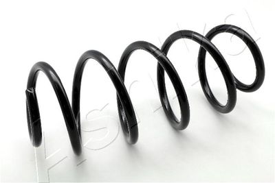 Suspension Spring ASHIKA ZCA3559H