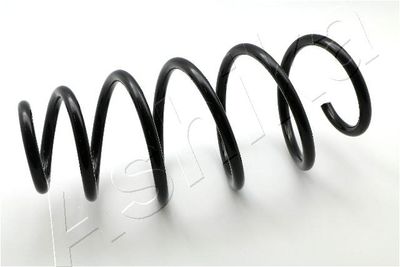 Suspension Spring ASHIKA ZCA3958A
