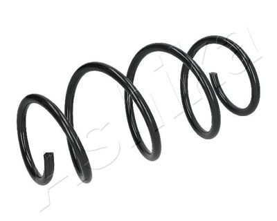 Suspension Spring ASHIKA ZCA4122A