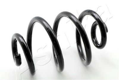 Suspension Spring ASHIKA ZCA5016X